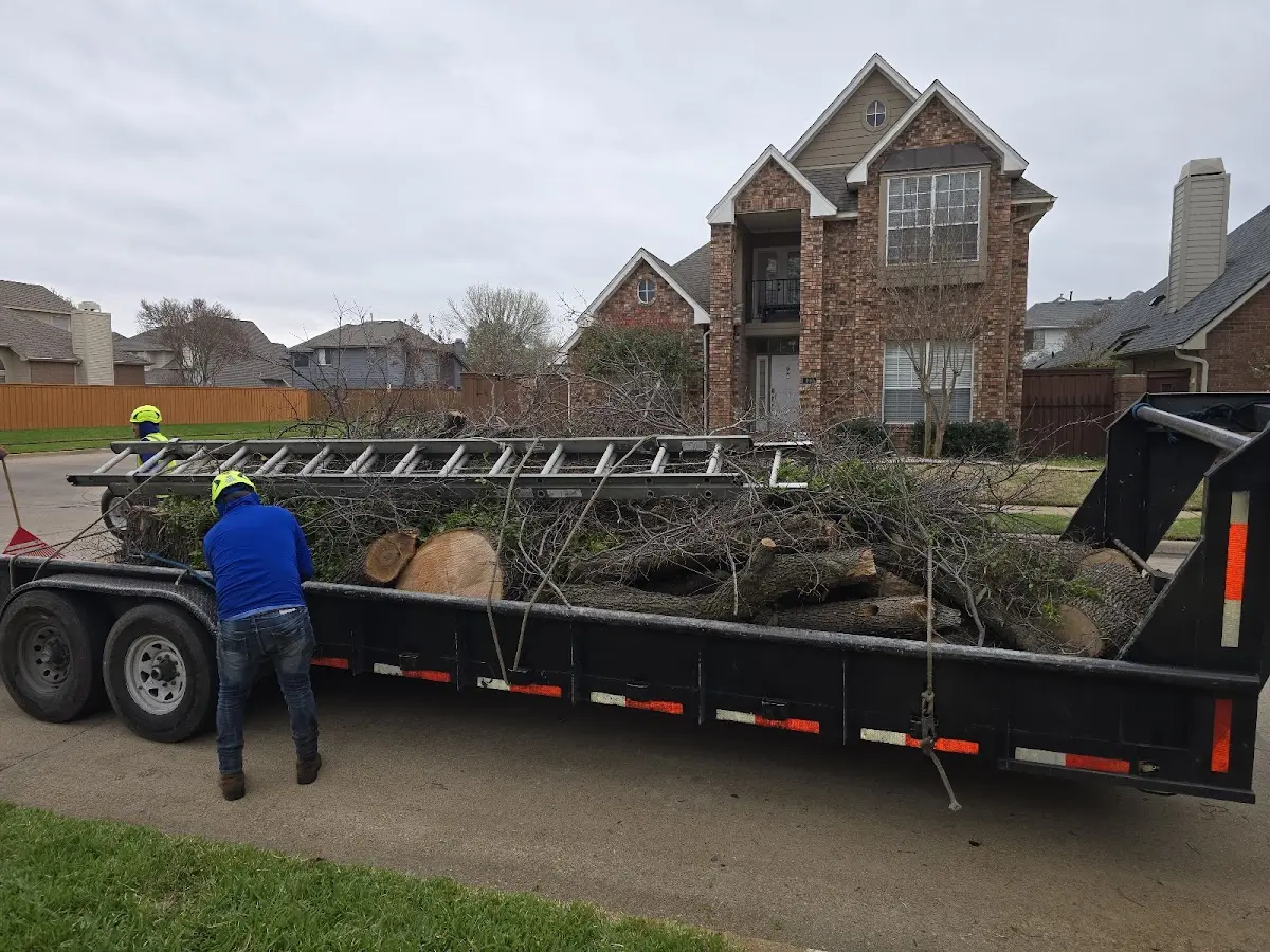 Expert Tree Removal with proper safety equipment in Port Jefferson